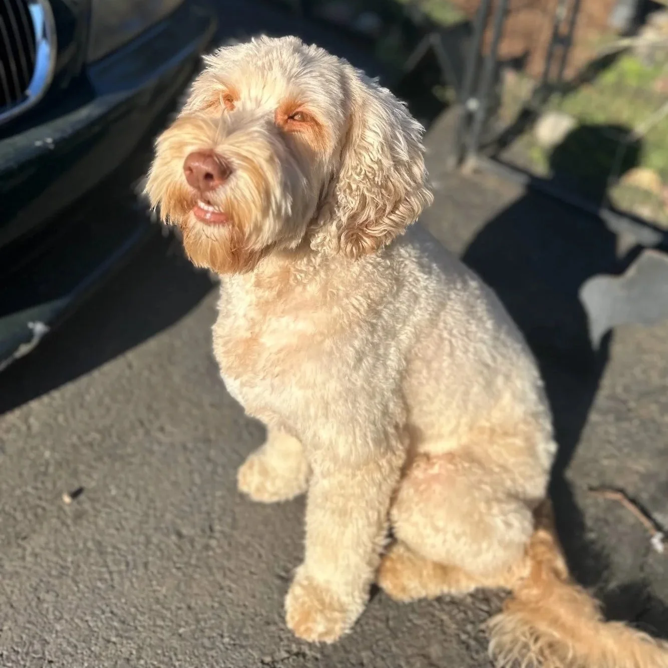 Tallulah