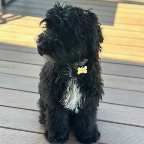 Maverick baby pic