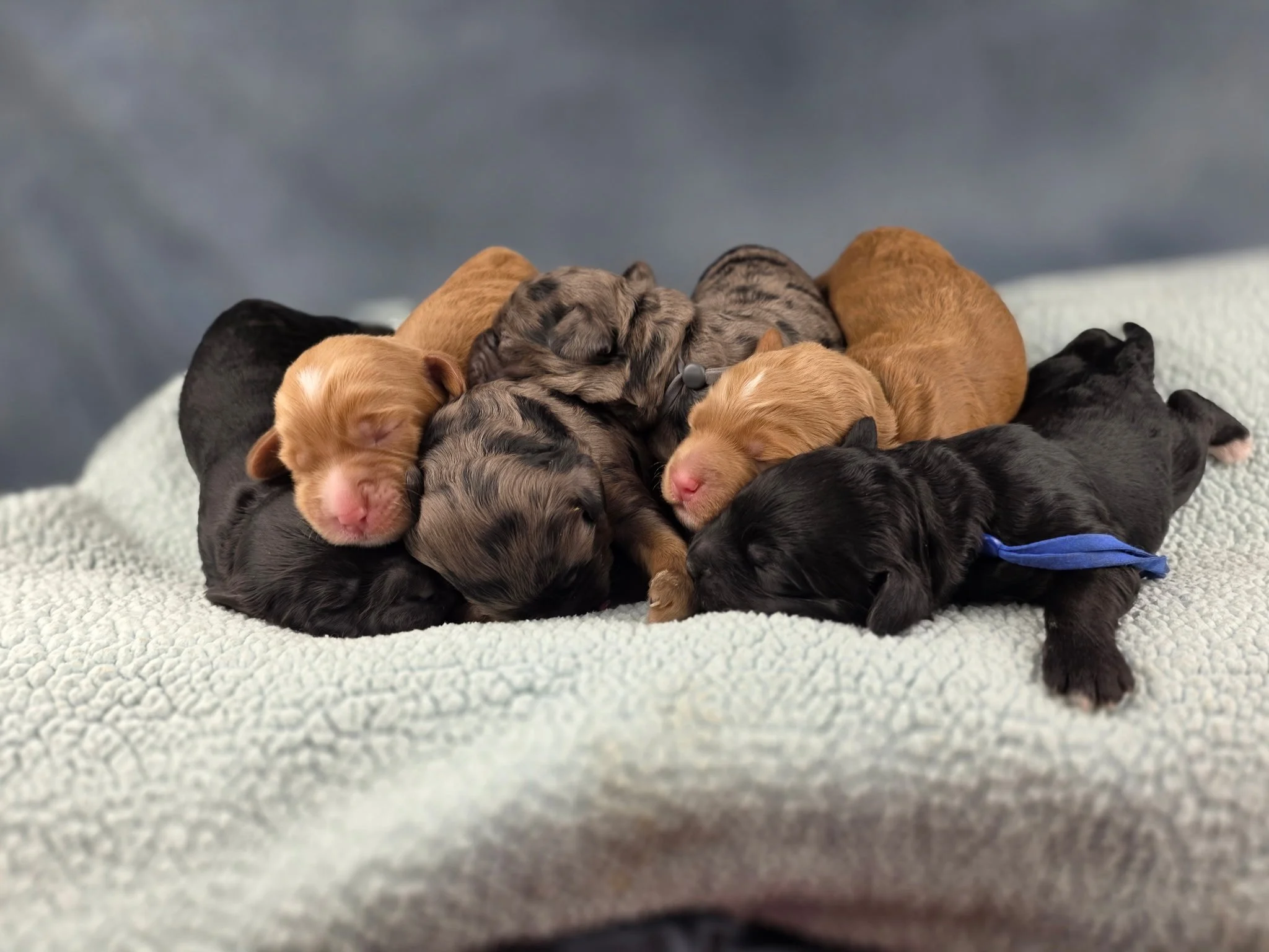 Photo Feb 16 2026, 11 26 32 AM (18).jpg