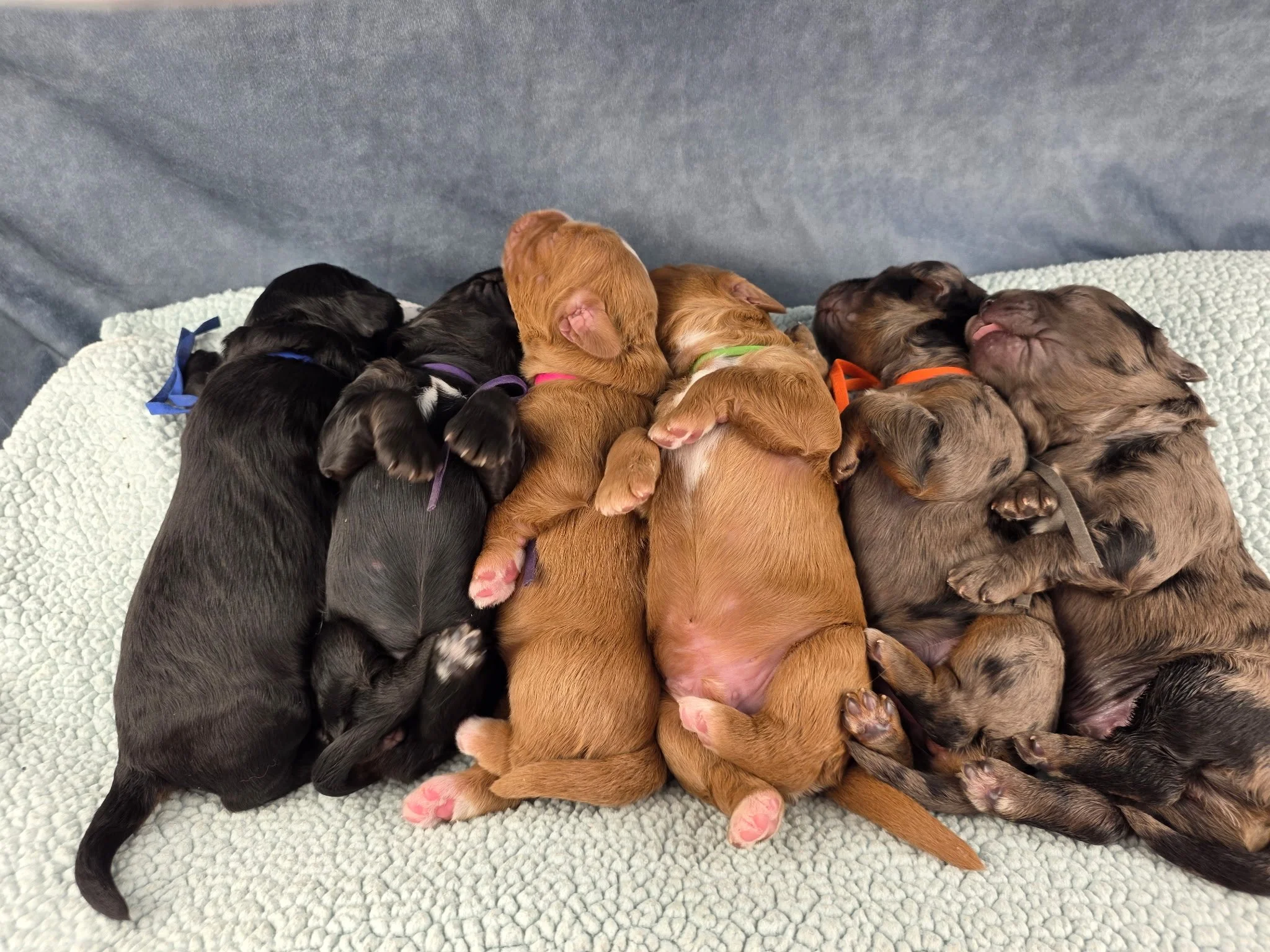 Photo Feb 16 2026, 11 26 32 AM (13).jpg