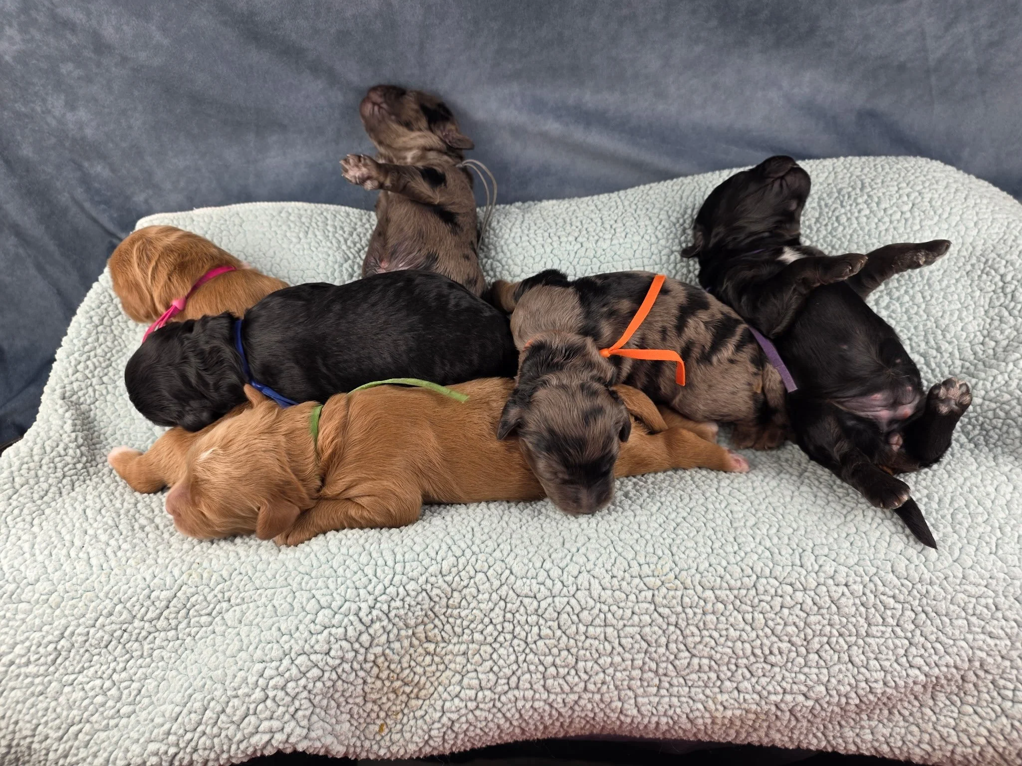 Photo Feb 16 2026, 11 26 32 AM (22).jpg