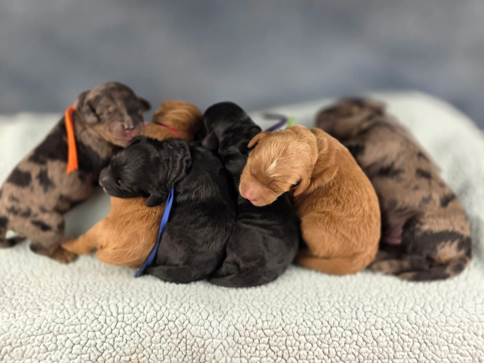 Photo Feb 16 2026, 11 26 32 AM (20).jpg