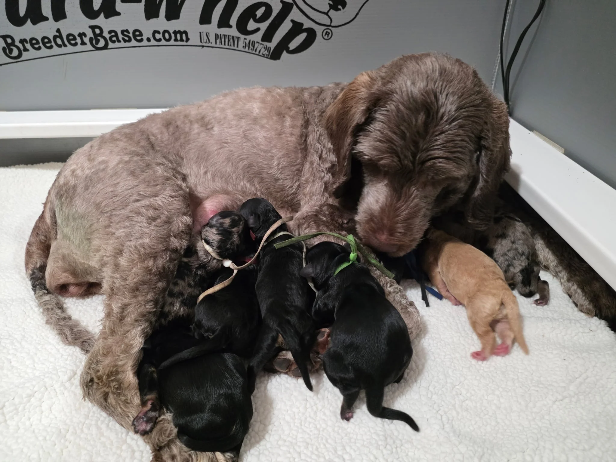 Photo Mar 09 2026, 1 15 58 PM (2).jpg