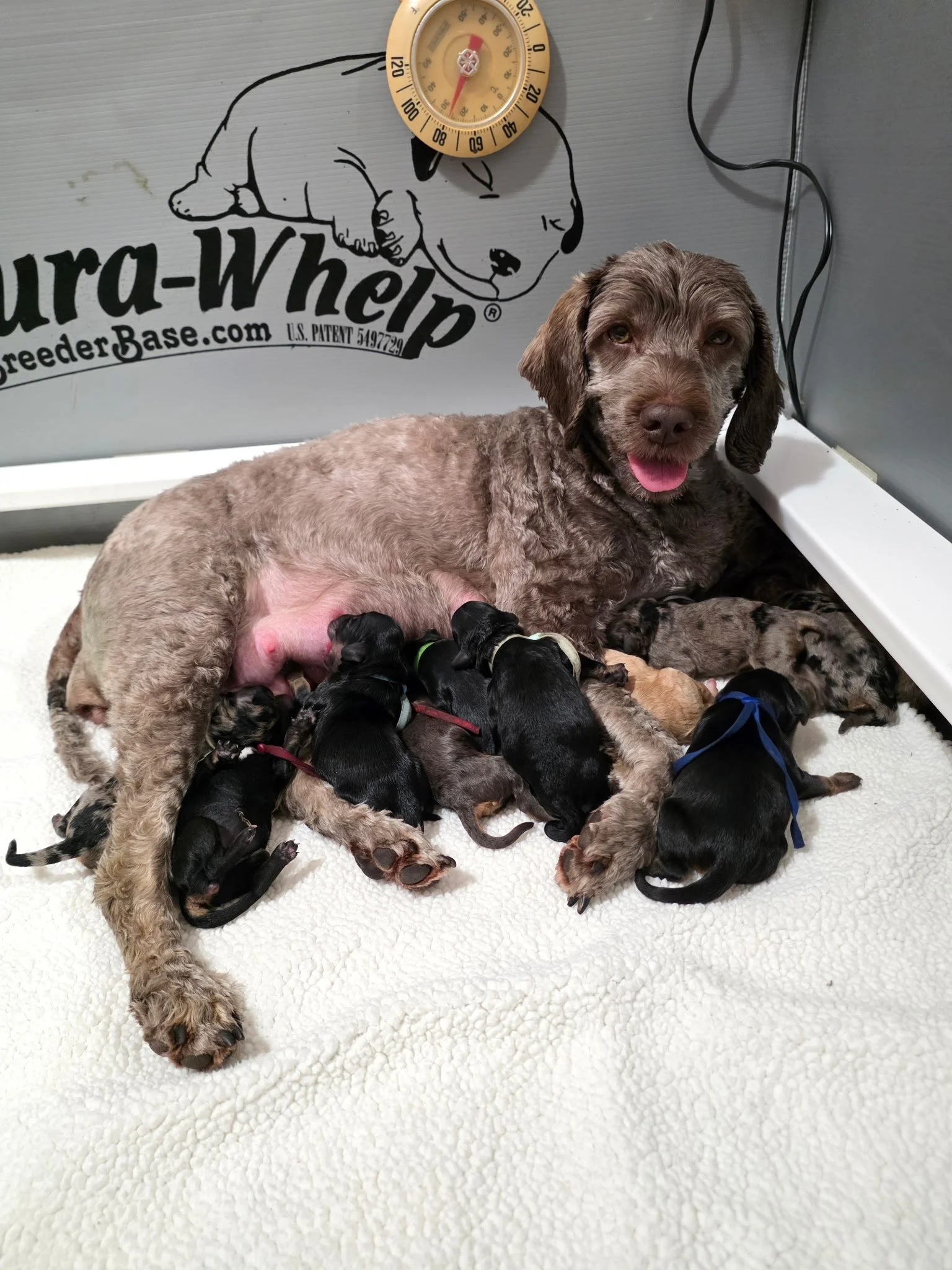 Photo Mar 09 2026, 1 15 58 PM.jpg