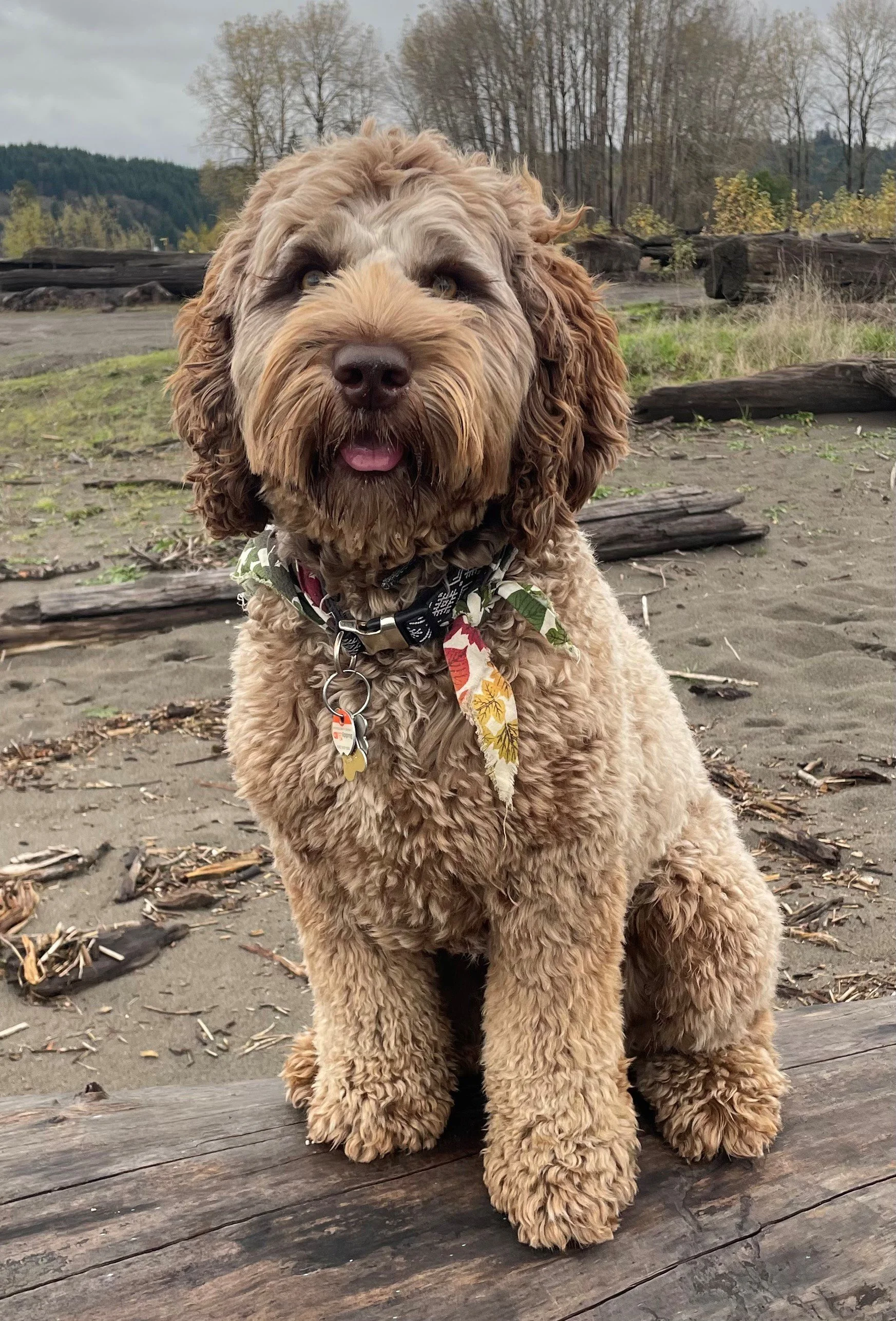 Kona