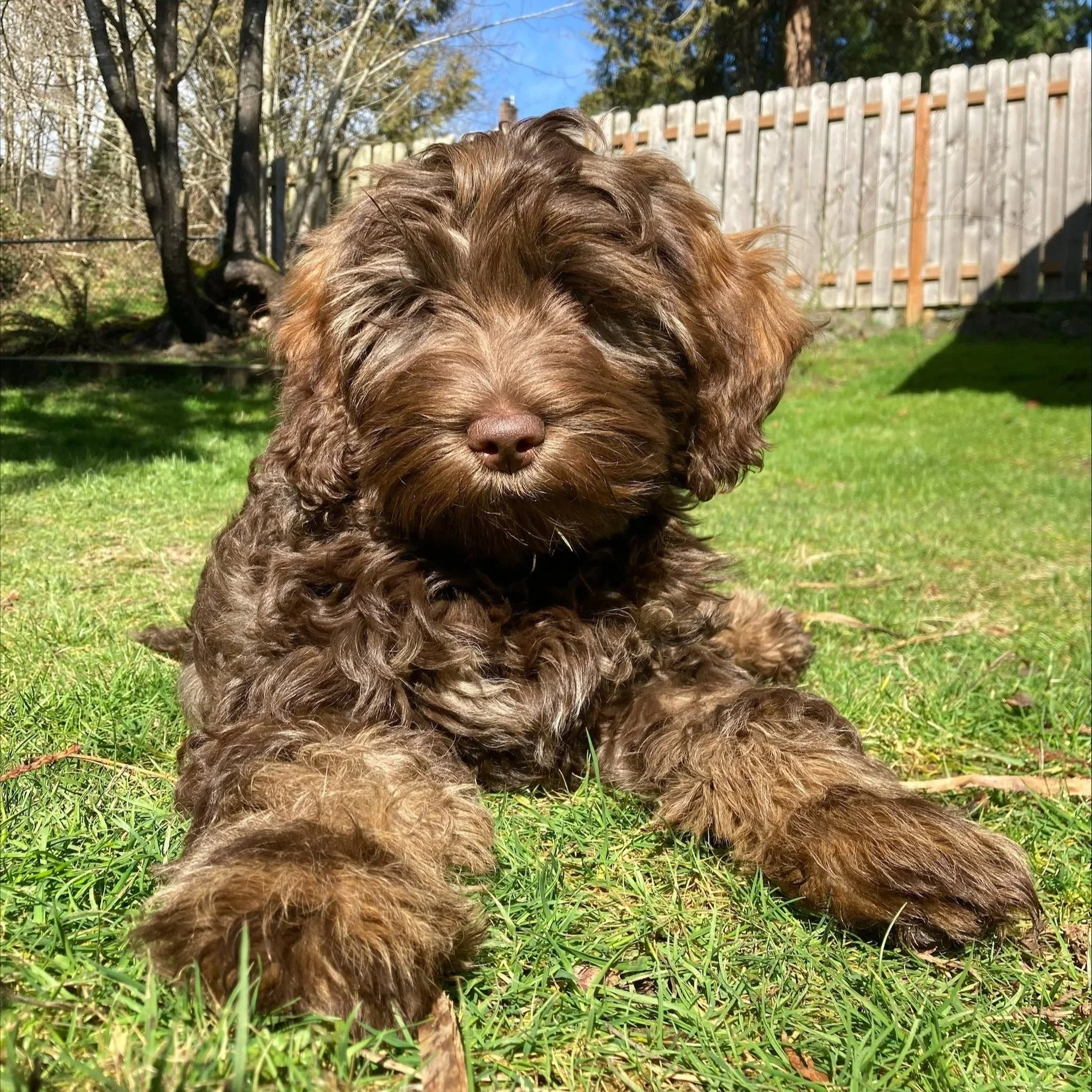 baby Stormy