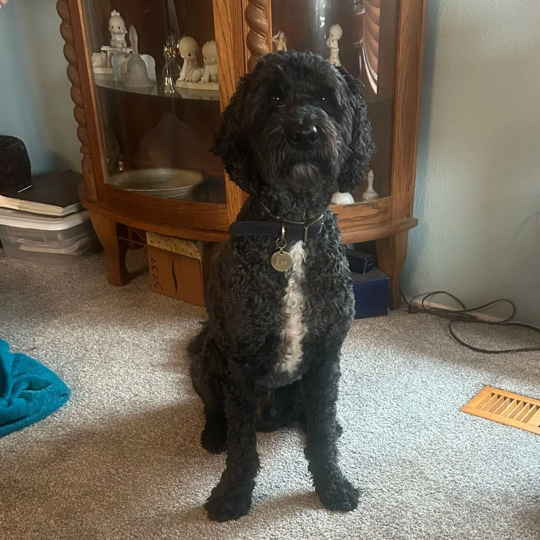Leo