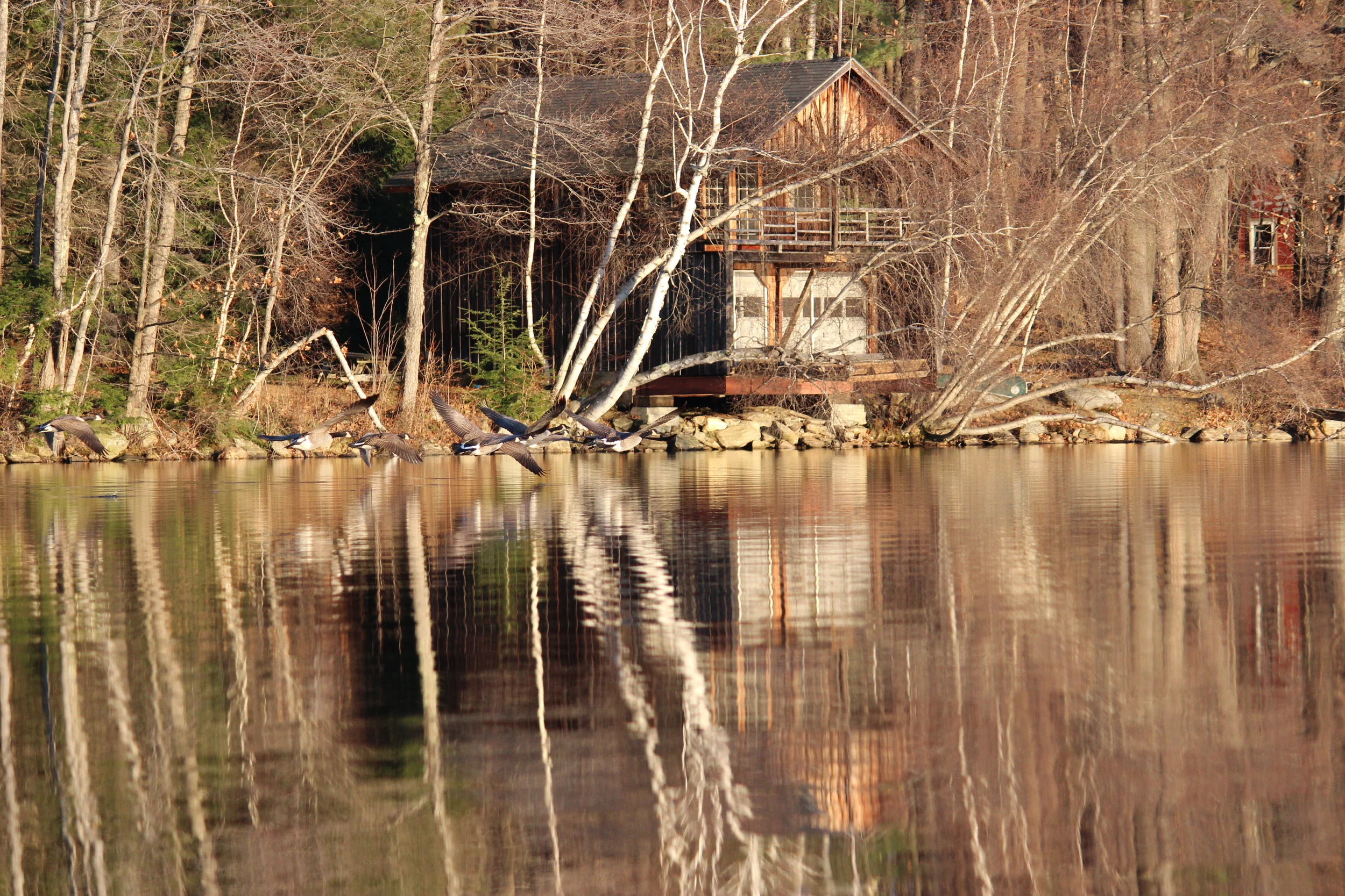 boathouse.JPG