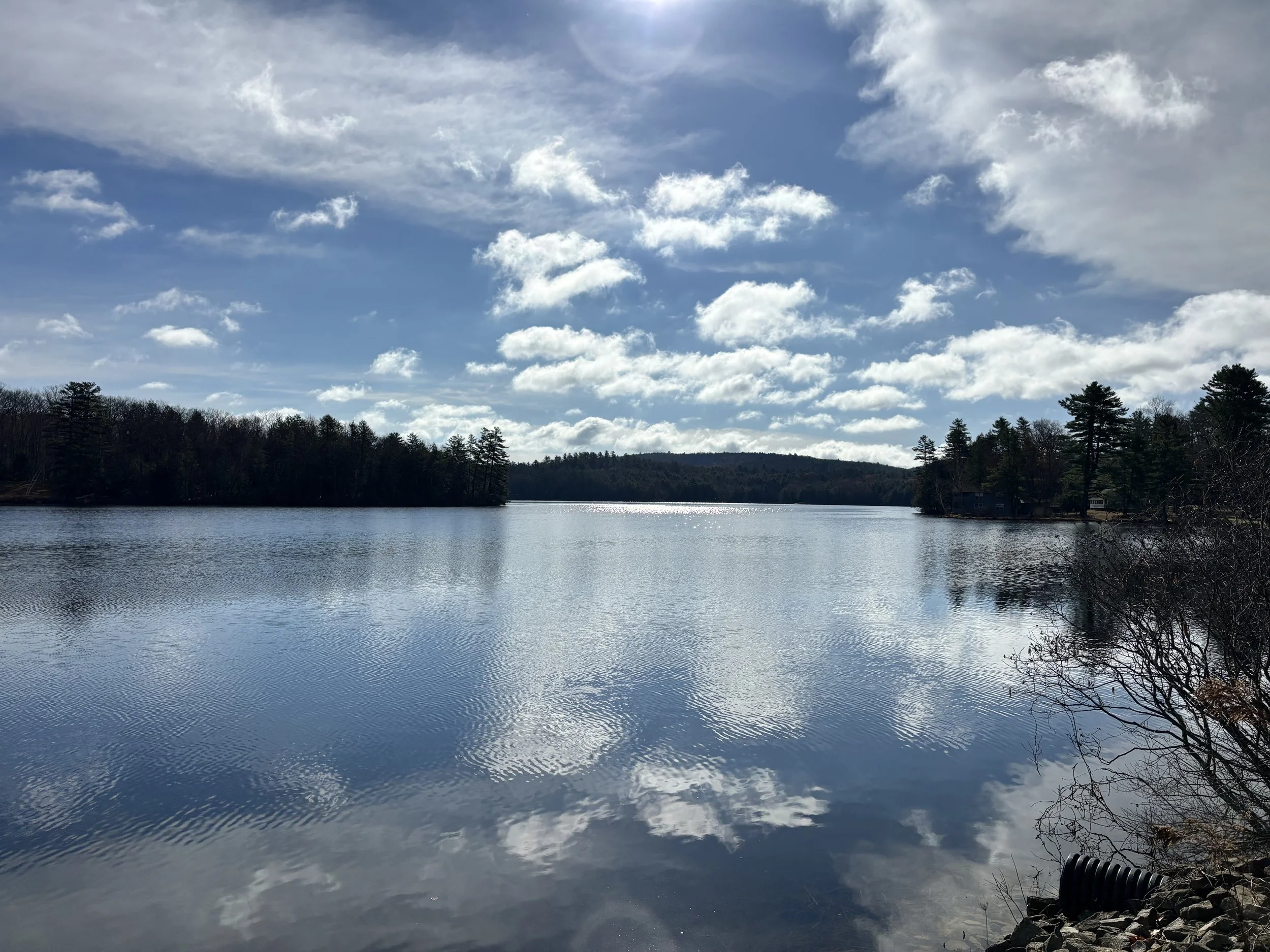 Lake Spring 2026.jpeg