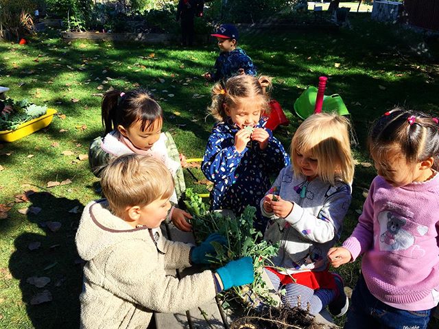 University Hill Preschool students enjoy the fruits (or vegetables) of our labour. We provide the environment our students to have a connection with agriculture and the natural world around us. Want to check us out? We are having an open house Novemb