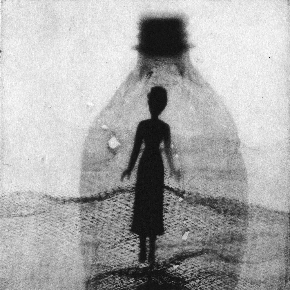 Shaw_01_FloodState_045_photogravure.jpeg