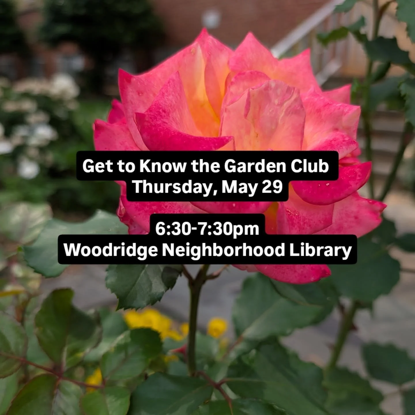 Do you love plants, fresh air, and a little dirt under your nails? Or maybe you're just curious about what to grow (and how to do it)? Either way, we&rsquo;d love for you to join us for a fun, informal&nbsp;&ldquo;Get to Know the Garden Club&rdquo;&n