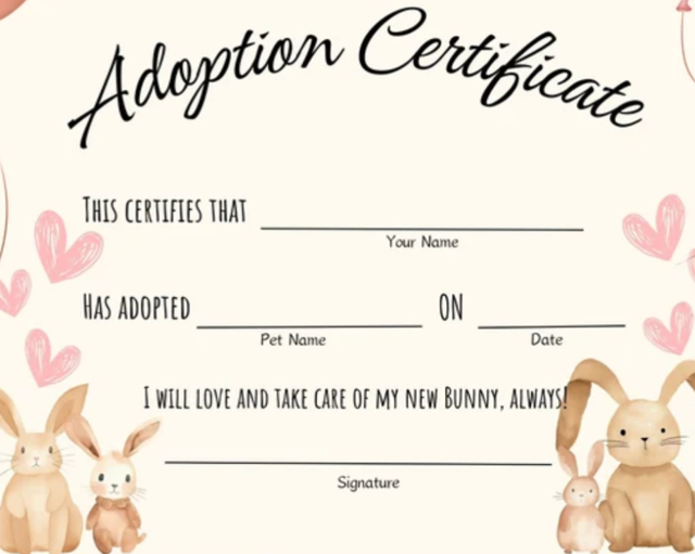 bunny adoption cert.png