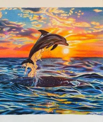 dophin sunset.jpg