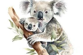 mom and baby koala.jpg