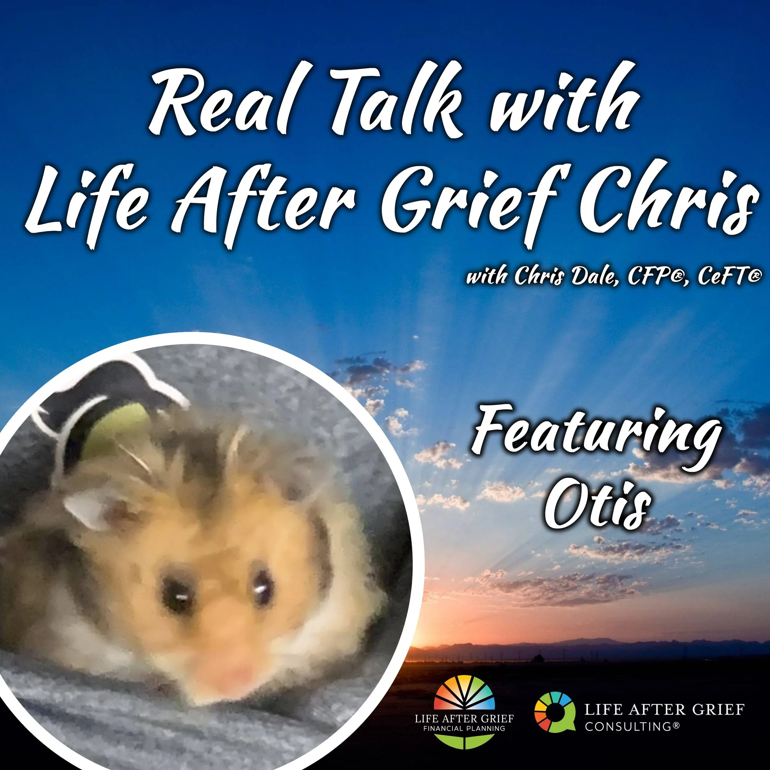 Hamsters &amp; Grief