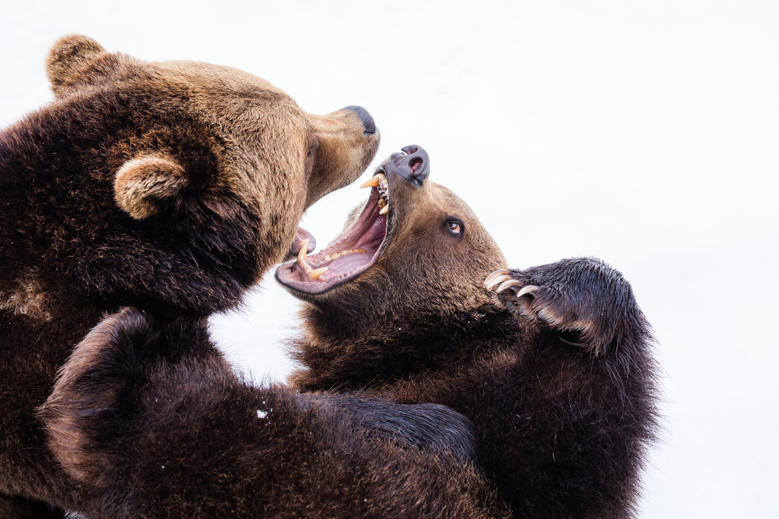 Family Dysfunction--Understanding Clients