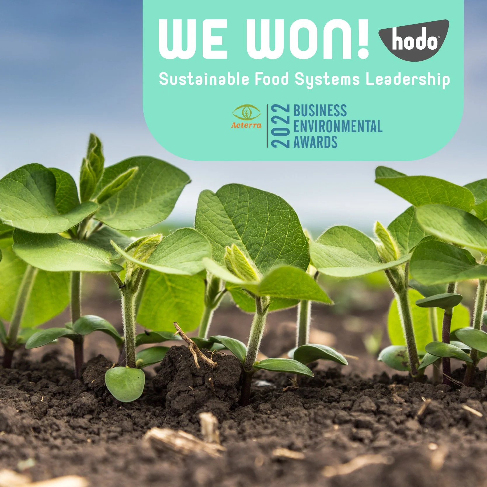 Hodo Wins Sustainability Award