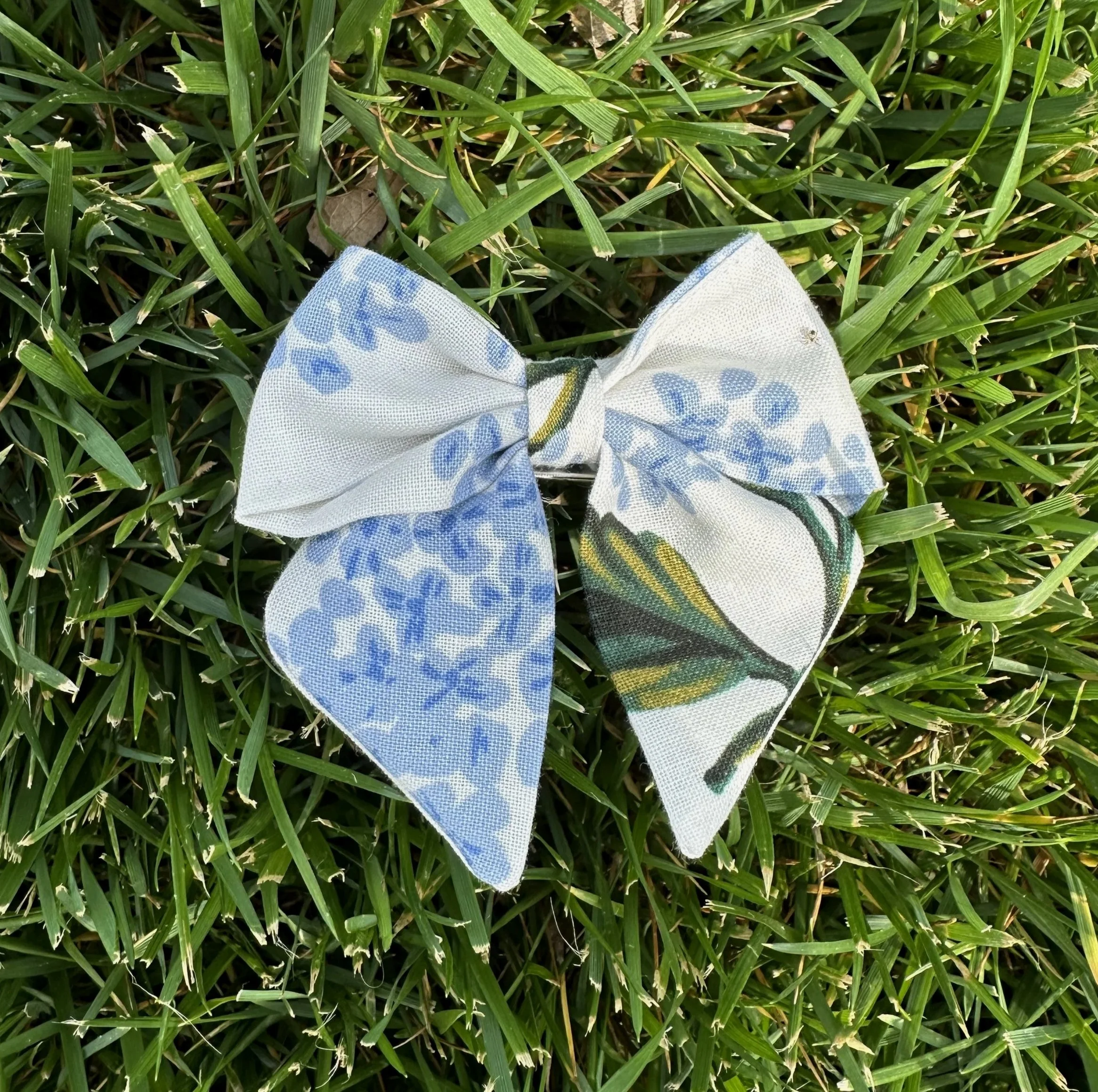 IMG_6751.jpg (Copy) (Copy)