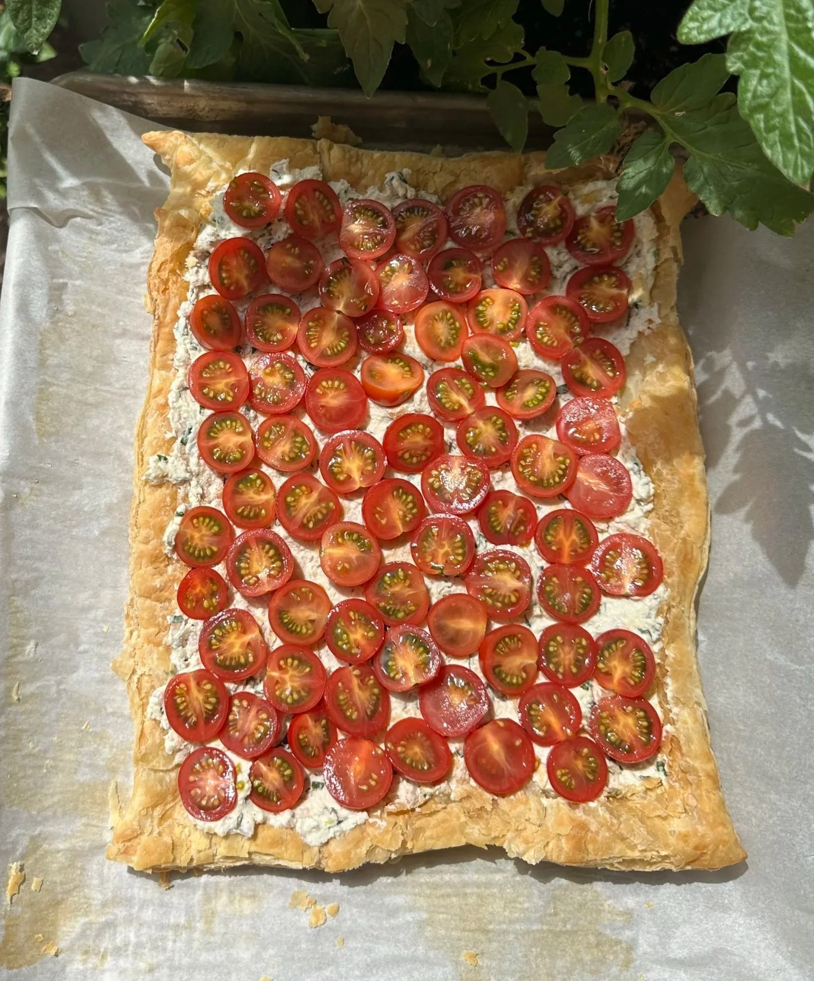 tomato tart