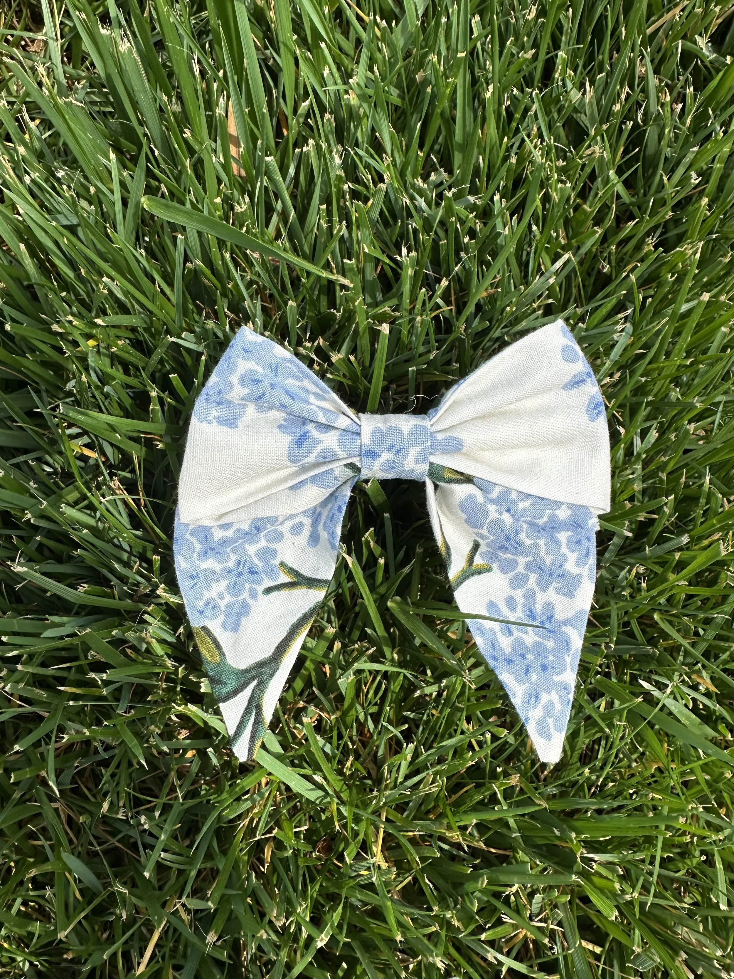 IMG_6750.jpeg (Copy) (Copy)