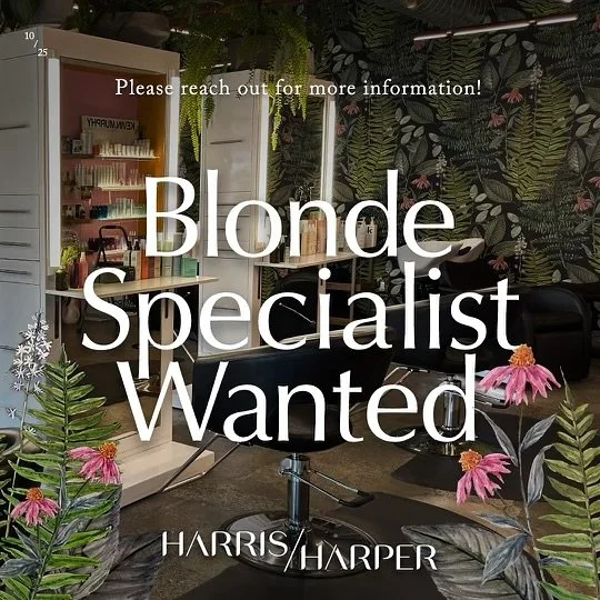 HEY YOU 🌸 
We have a chair open for a Blonding  Specialist ✨

Haris Harper Salon is looking for a stylist who loves all things blonding &mdash; from bright and bold to lived-in and dimensional.
We&rsquo;re seeking someone confident in blonding, bala