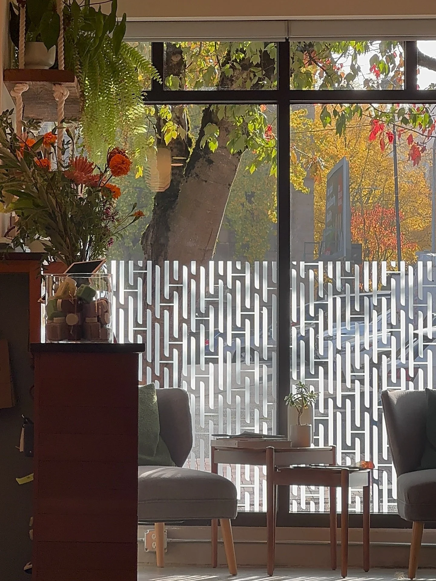 fall outside, fresh hair inside 🍂✨
a few cozy views from the salon as the leaves put on a show ✨🍂🍁
.
.
.
.
.
#beauty #love #beautiful #fashion #makeup #instagood #photography #style #model #photooftheday #like #instagram #skincare #art #follow #cu