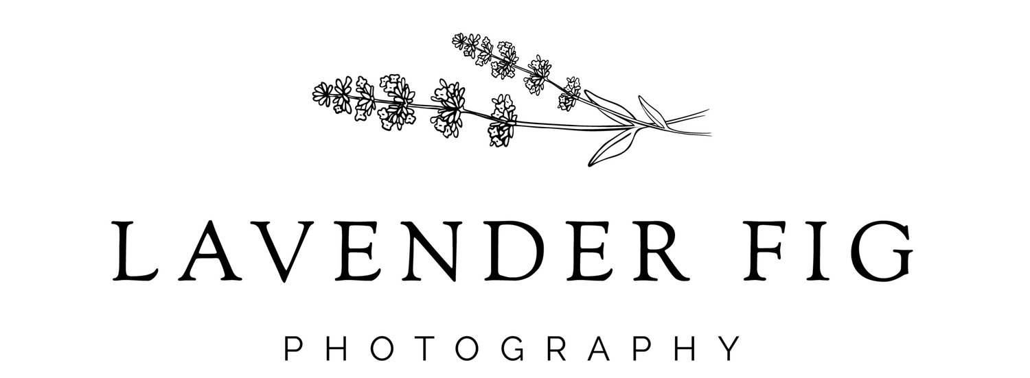 Lavender Fig Photography