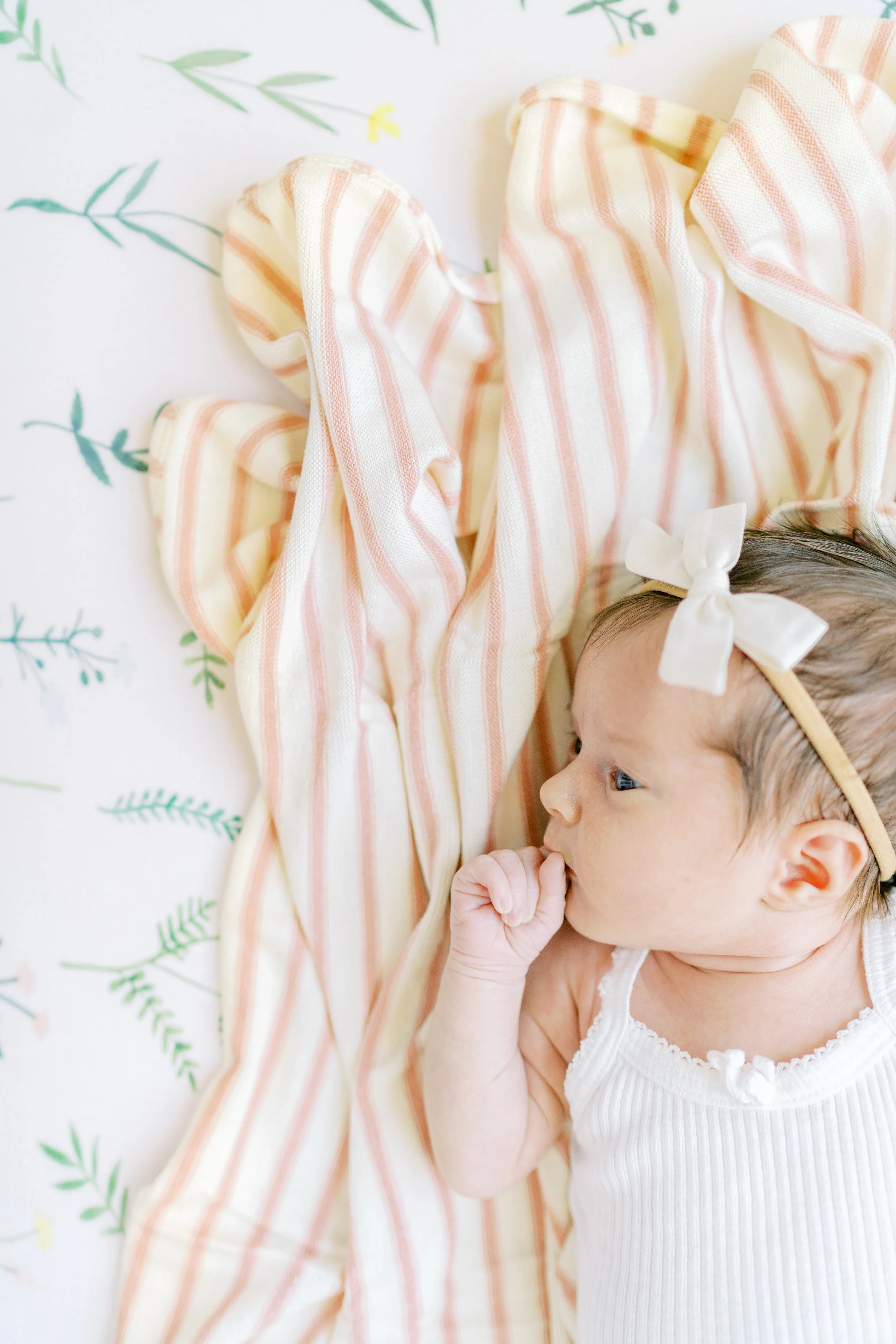 Coppo Newborn and Lindsay09220.jpg