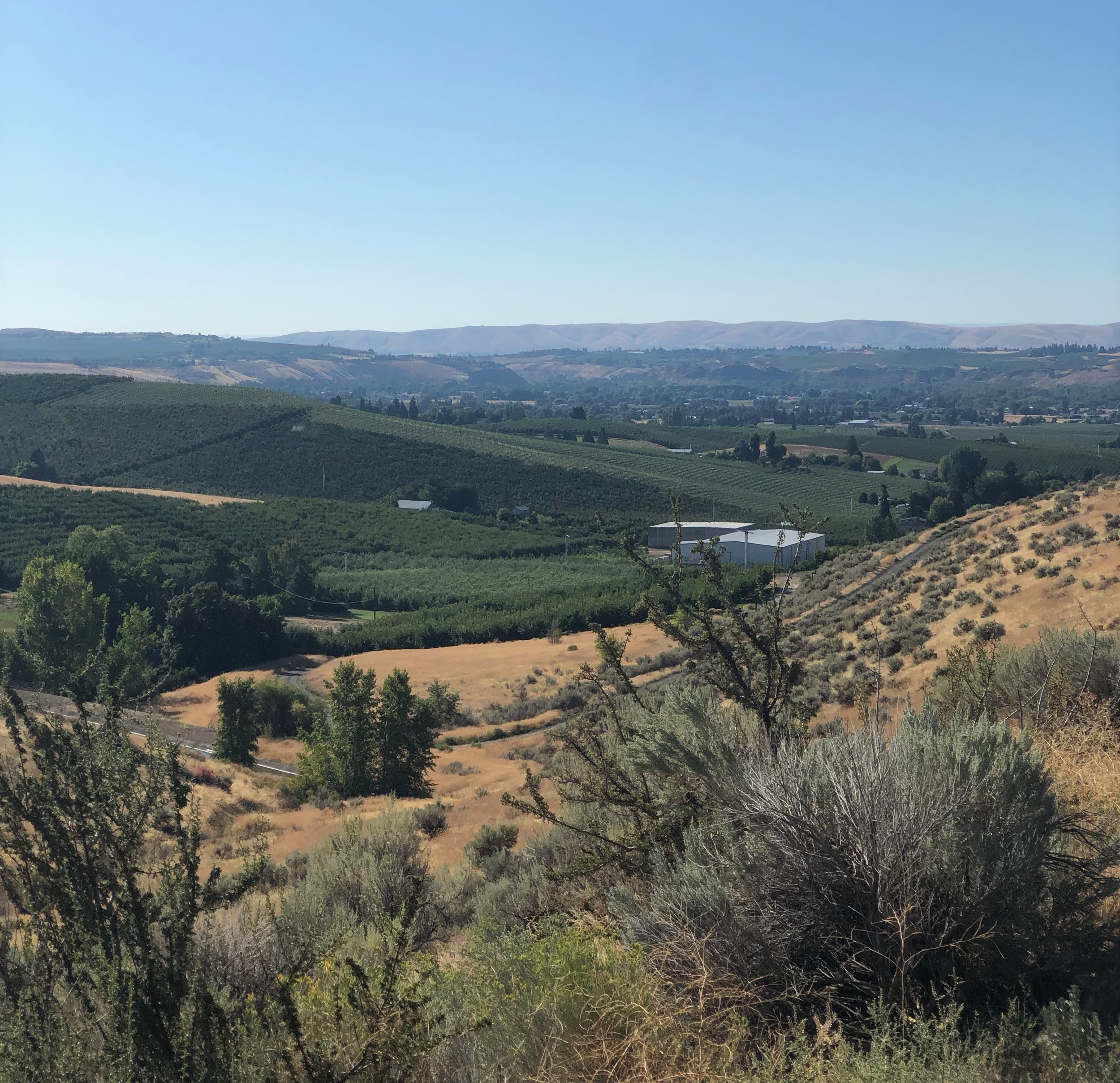  The vistas on a late summer day in the Naches Valley are breathtaking! It was so peaceful and friendly. 