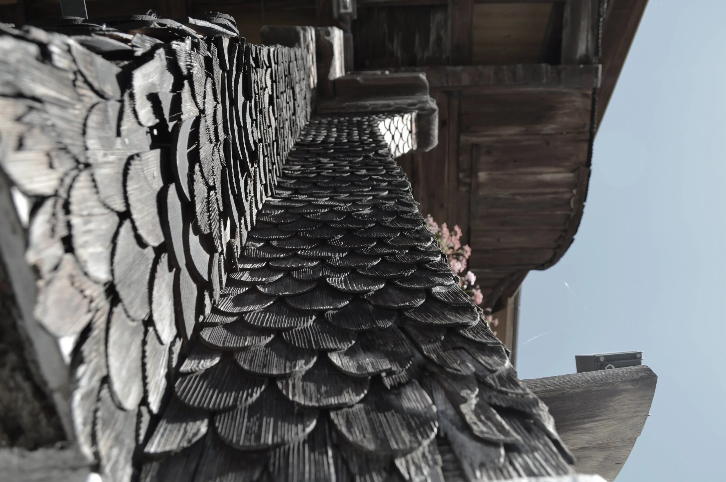  restaurant_interlaken,switzerland 