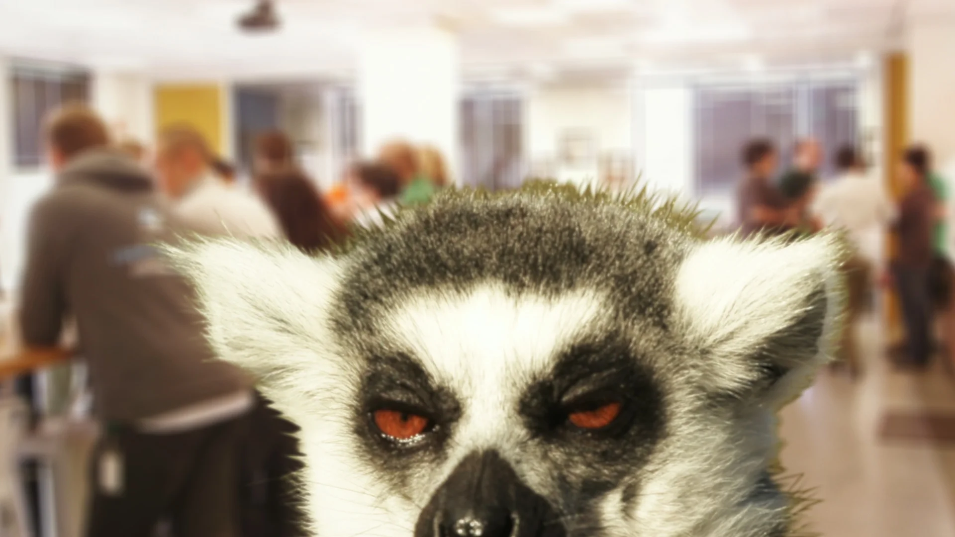 Femto_PR_still_MF-lemur.jpg