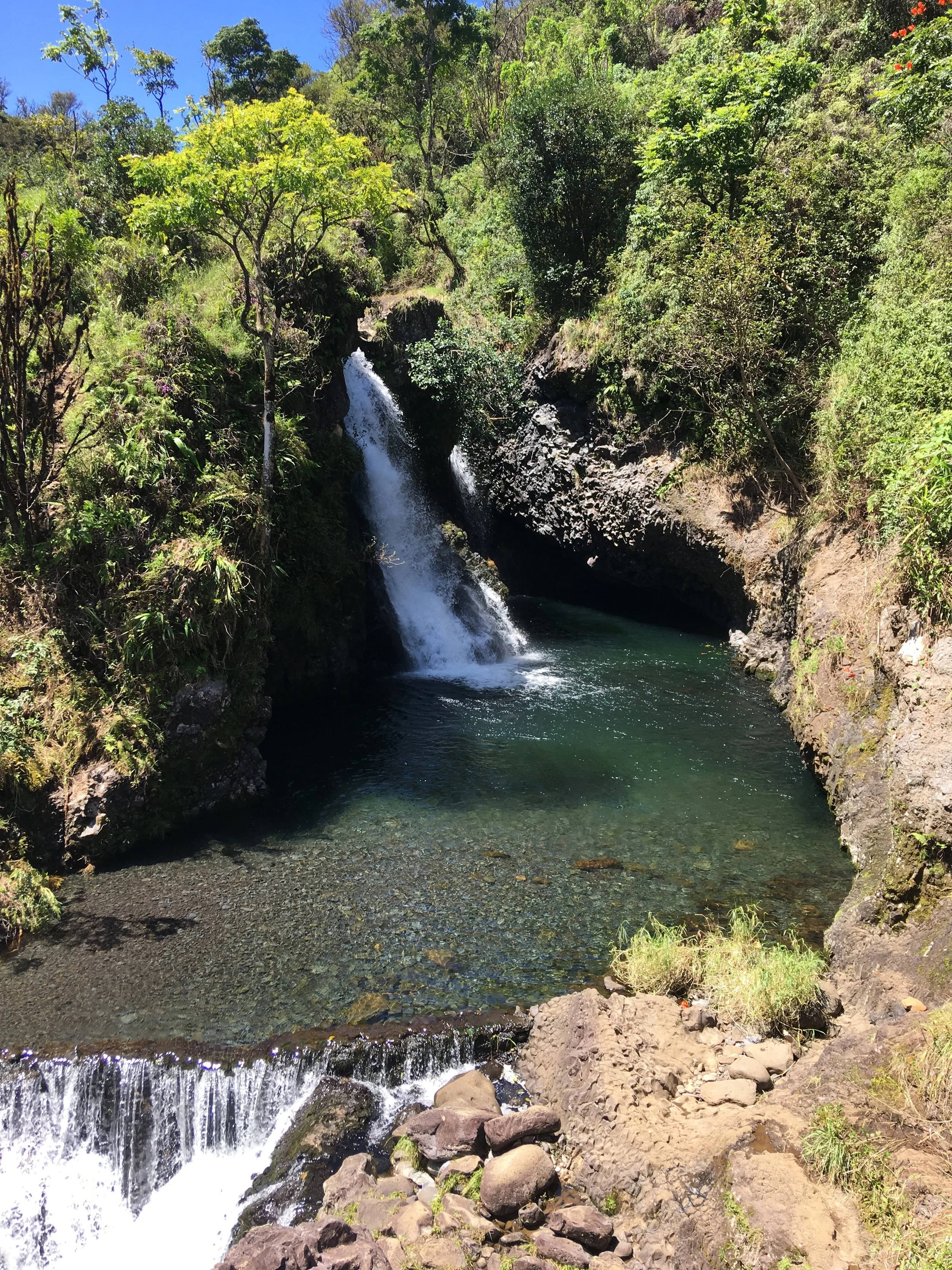 4-6 Hours (Half Day)