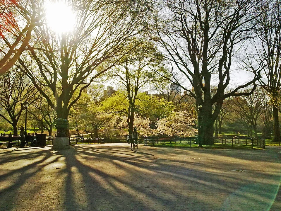 CivicCenterParkDenver.jpg