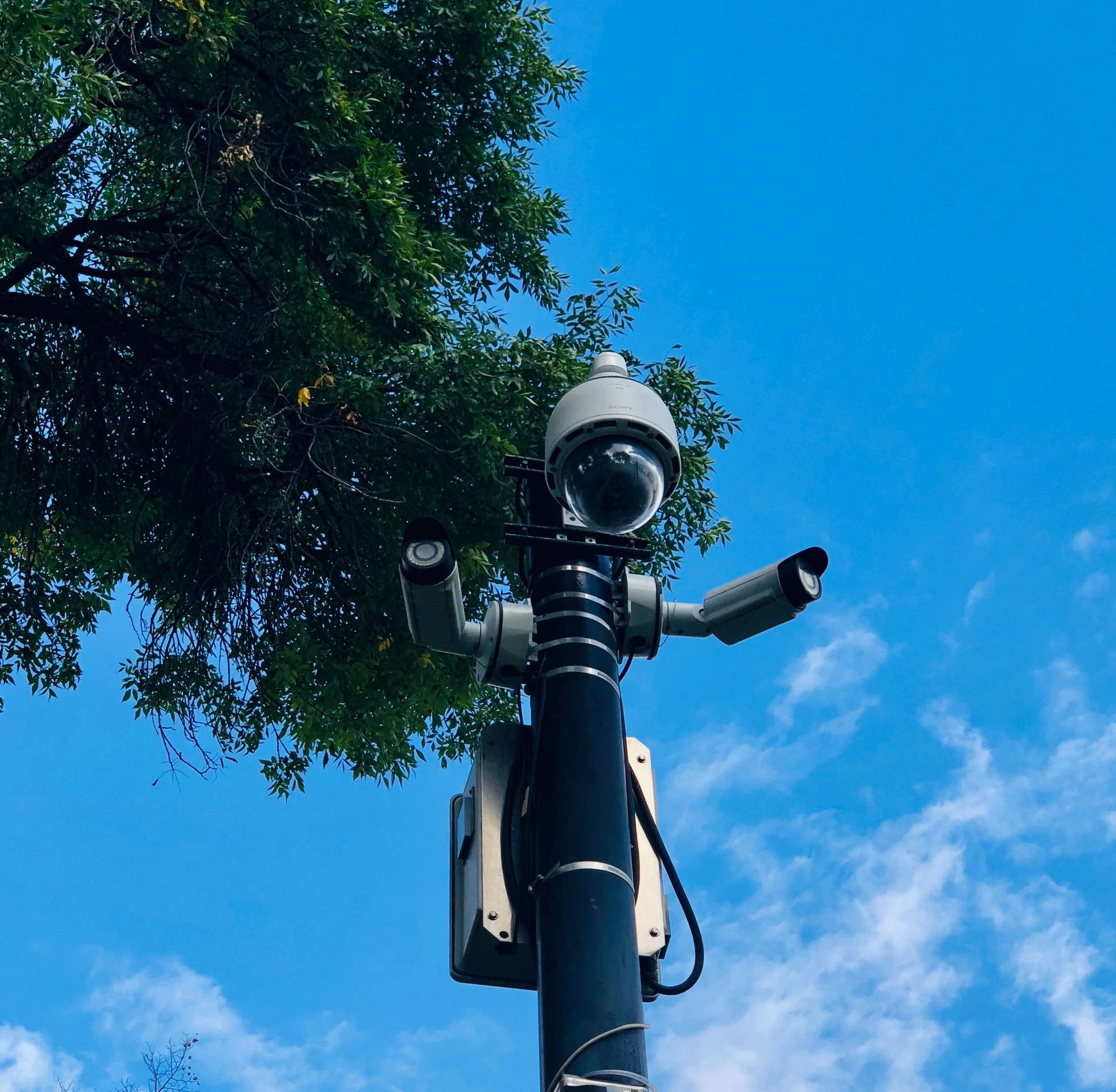 PPC Grassroots Effort to Improve Park Safety