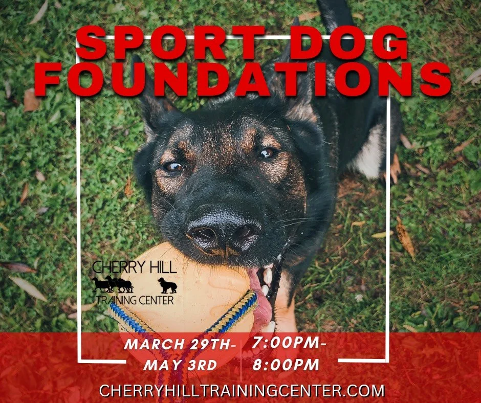 Sport Dog Foundations