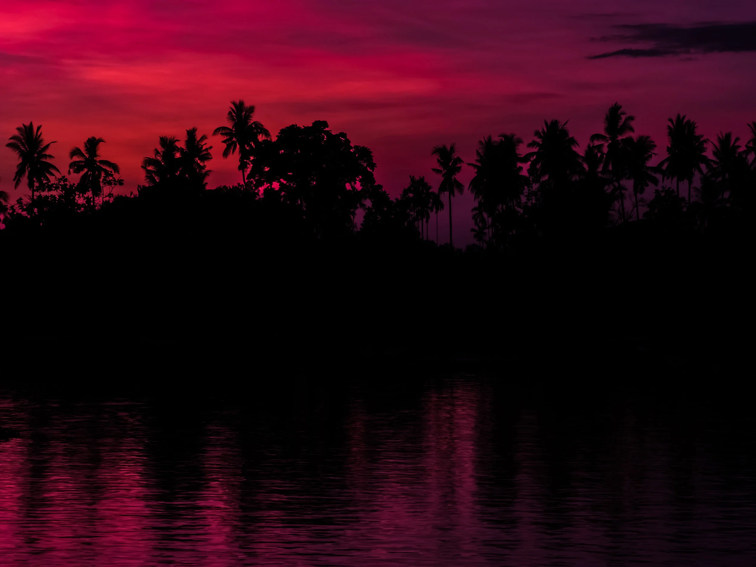 181204_BJG Productions_017.jpg