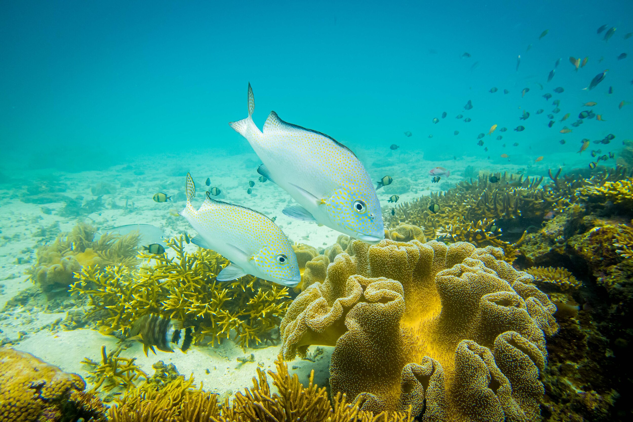 170418_BJG Productions_002.jpg