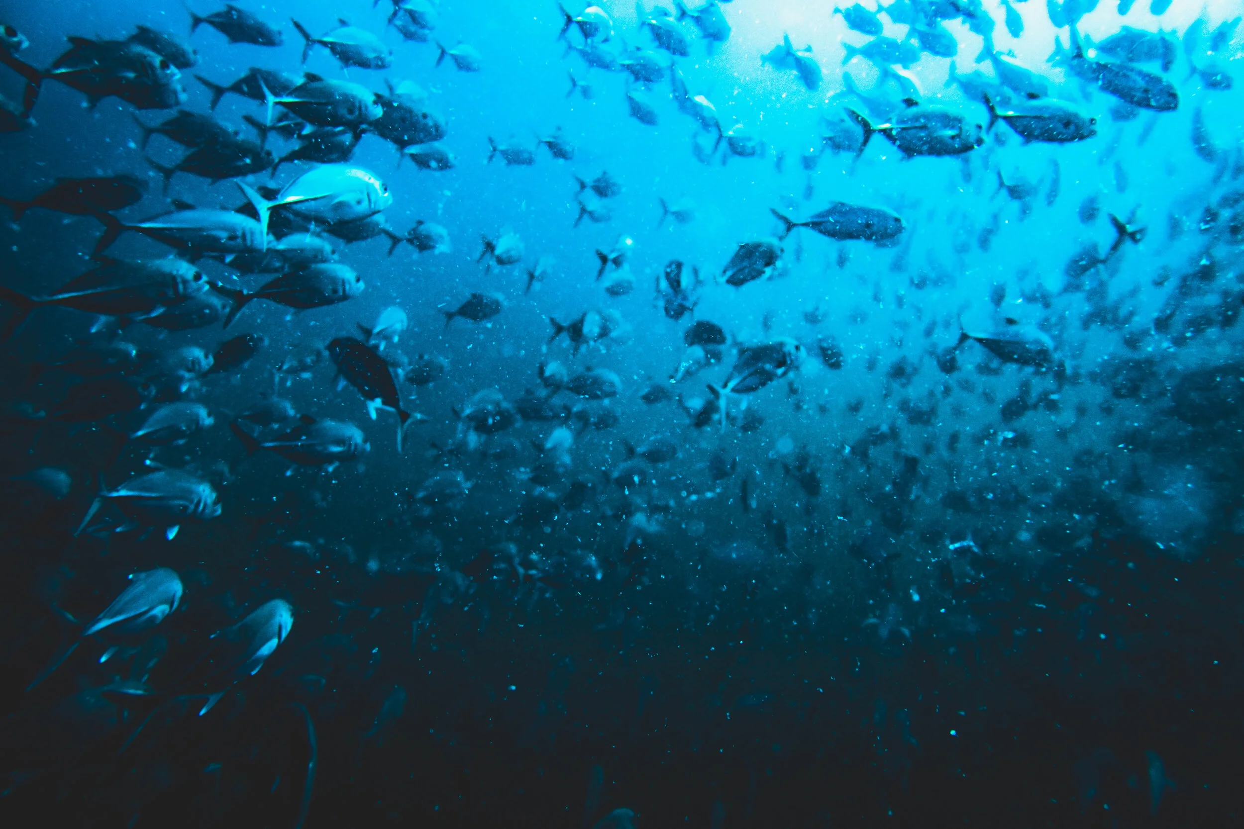 190112_BJG Productions_013.jpg