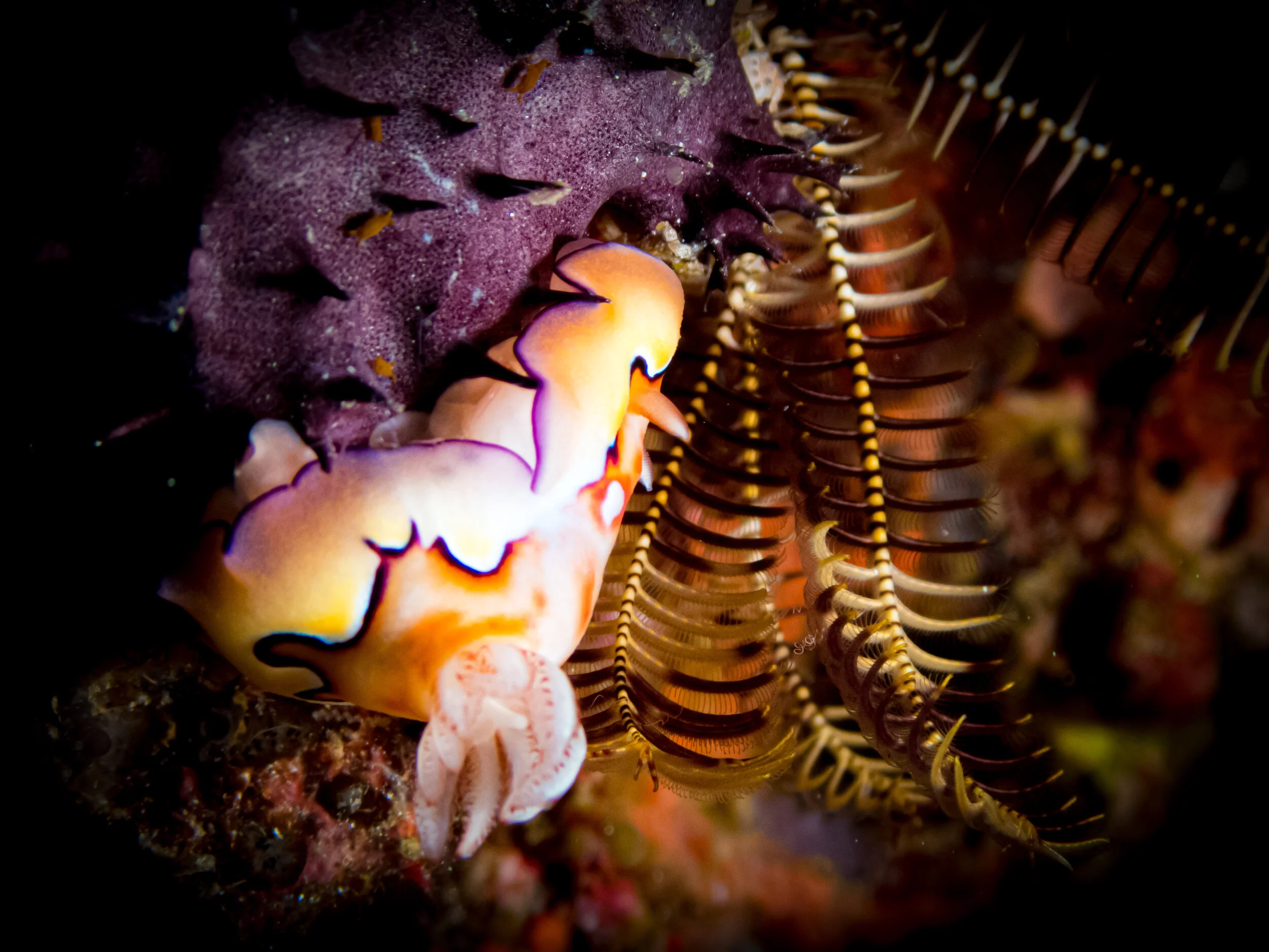 191212_BJG Productions_032.jpg