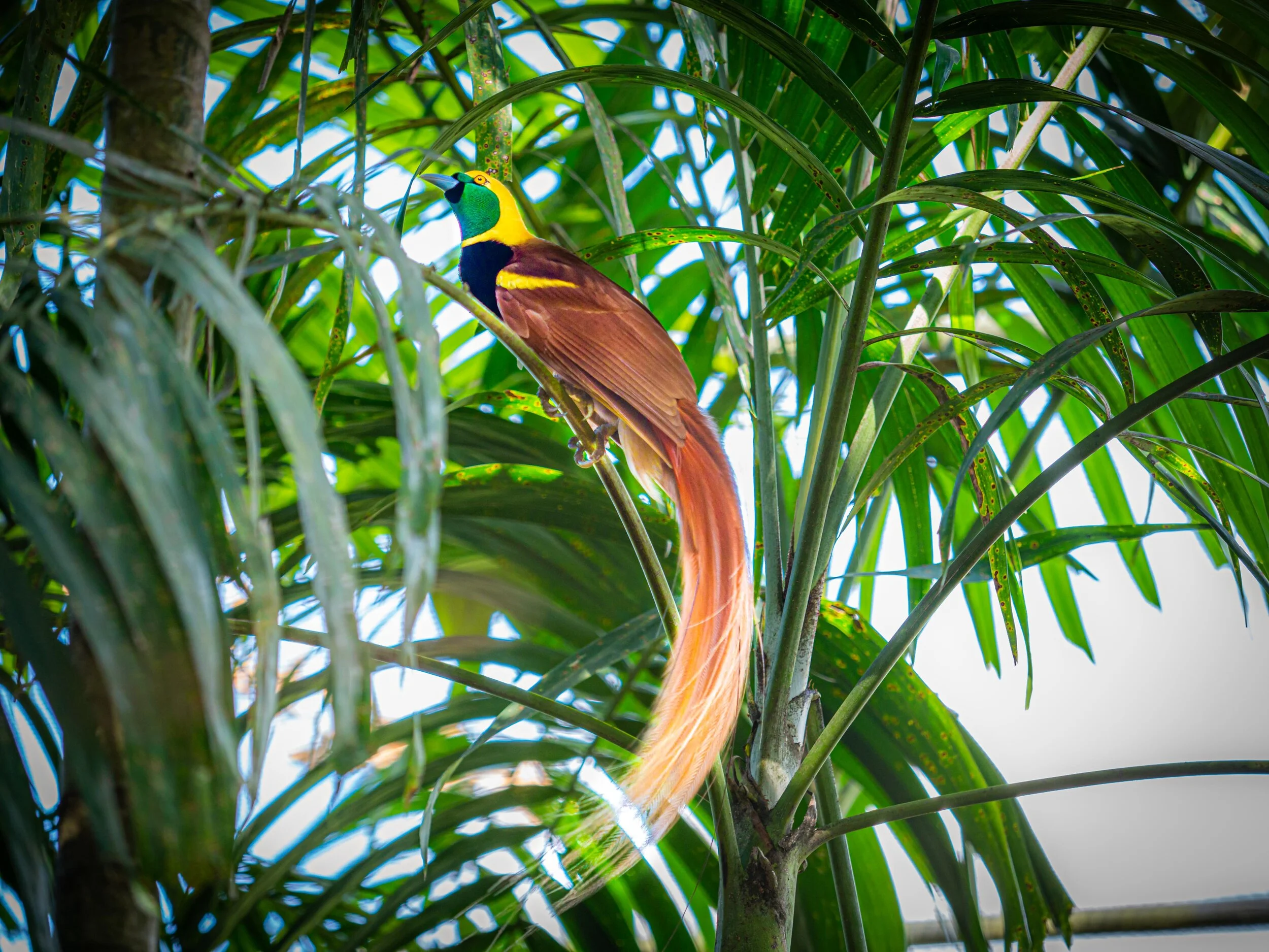 190810_BJG Productions_004.jpg