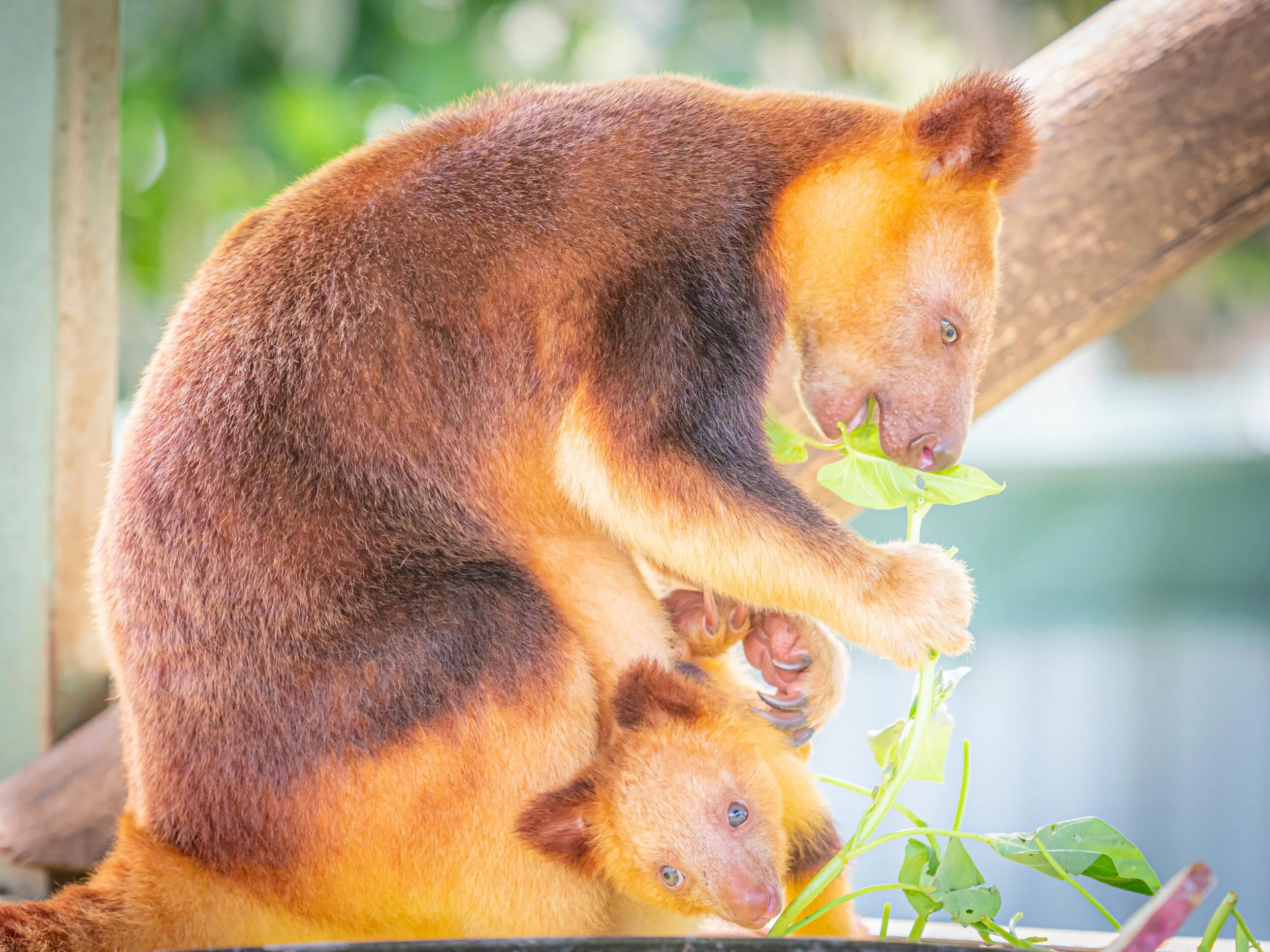 190810_BJG Productions_006.jpg