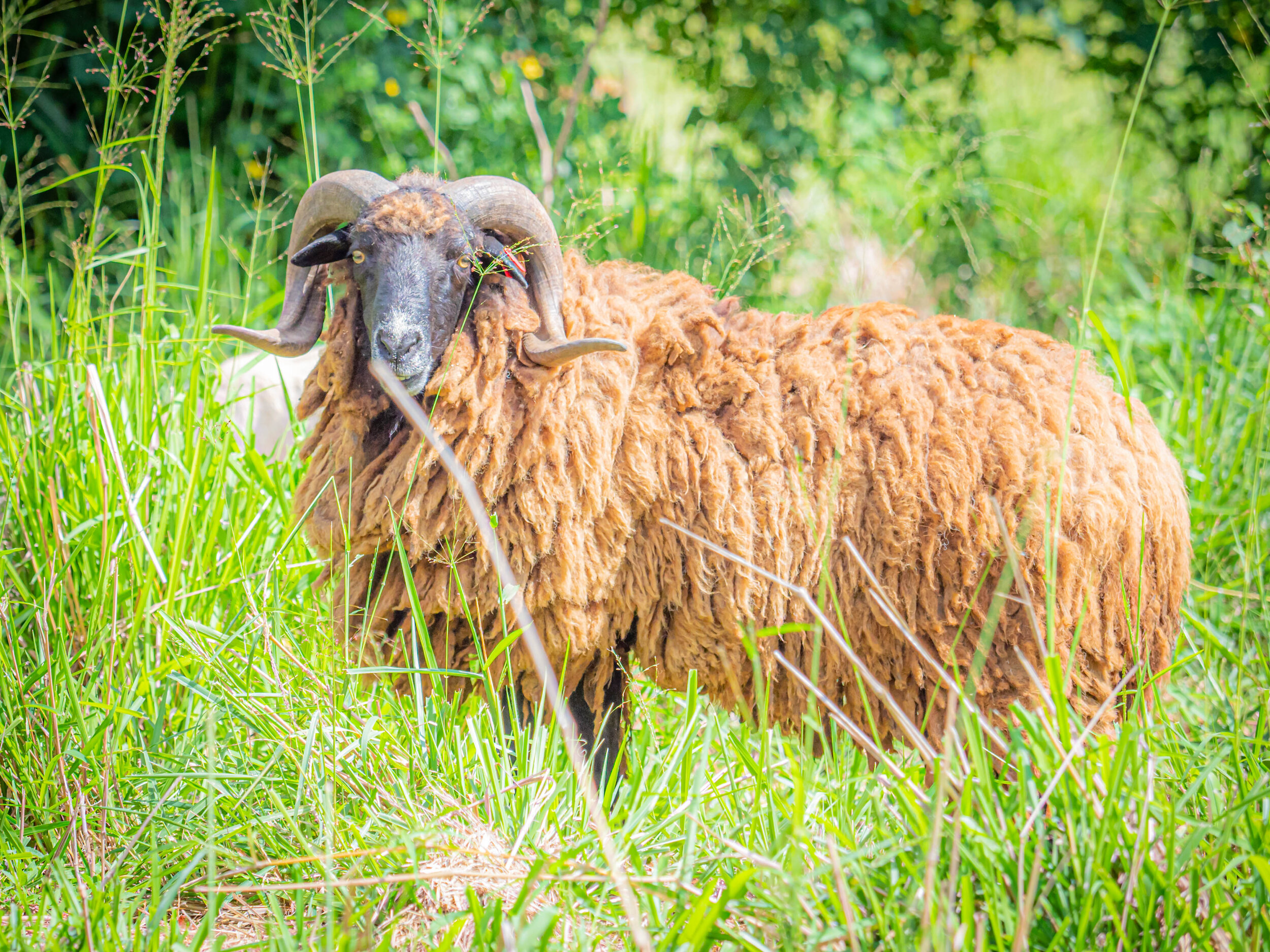 190810_BJG Productions_007.jpg