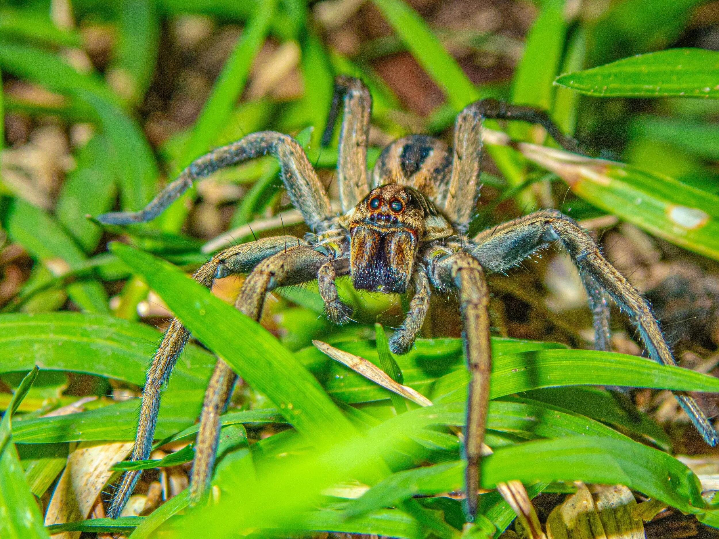 191027_BJG Productions_025.jpg