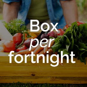 box+per+fortnight.png