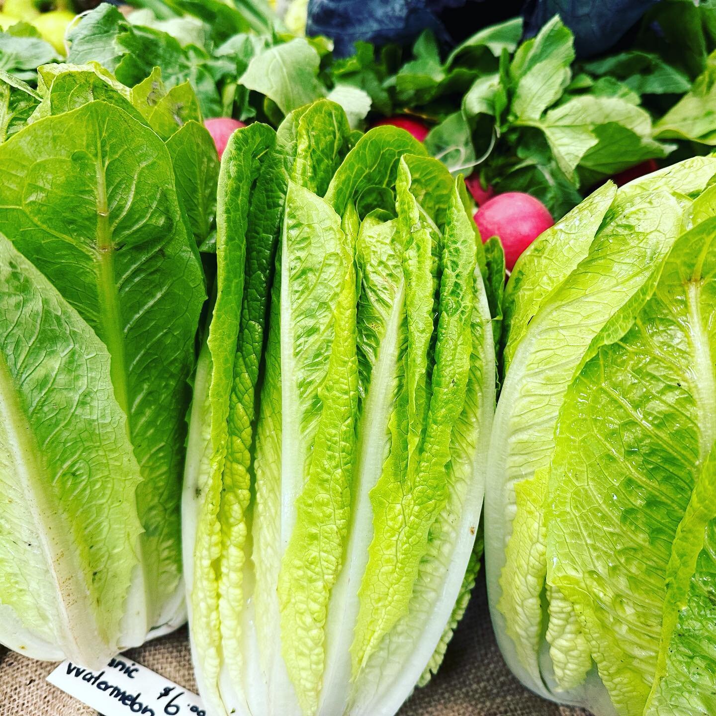 Just be-cos we are closing, doesn&rsquo;t mean you still can&rsquo;t get the best fresh fruit and veg. 

These are from Koo Wee Rup this morning. Direct from the grower, not the market.