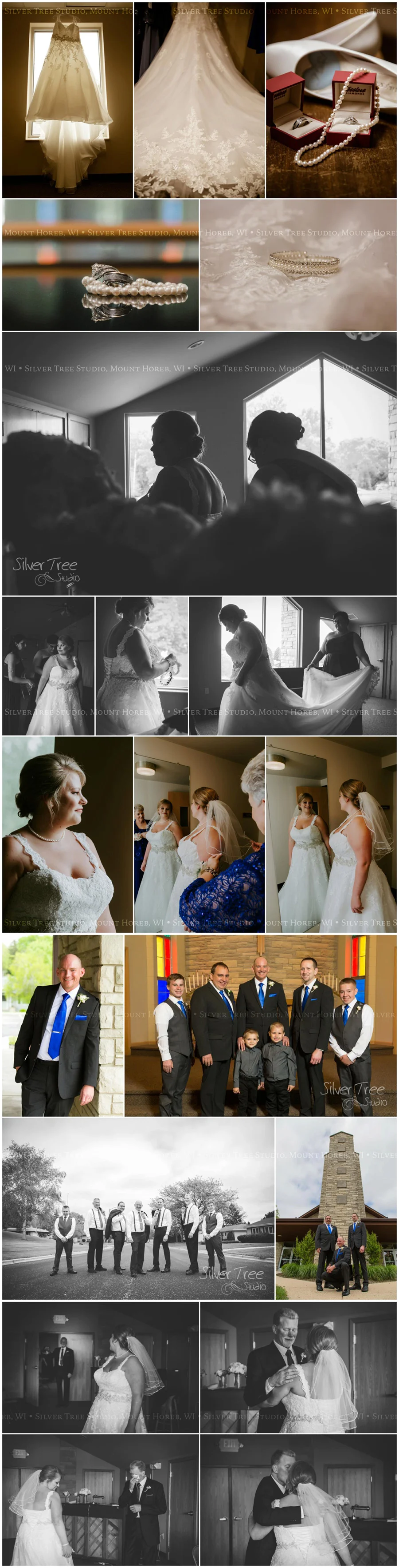 Silver Tree Studio - Professional Photography based in South Central Wisconsin, Wedding, Engagement, Portrait
