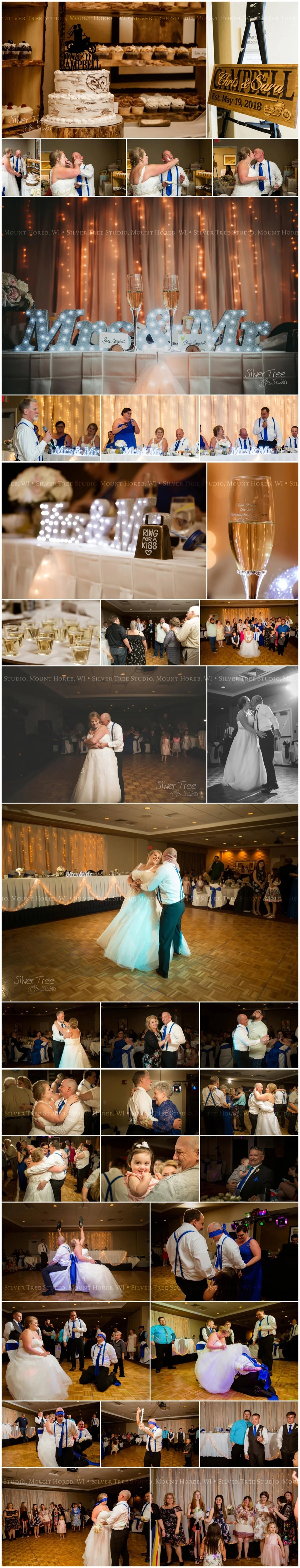 Silver Tree Studio - Professional Photography based in South Central Wisconsin, Wedding, Engagement, Portrait