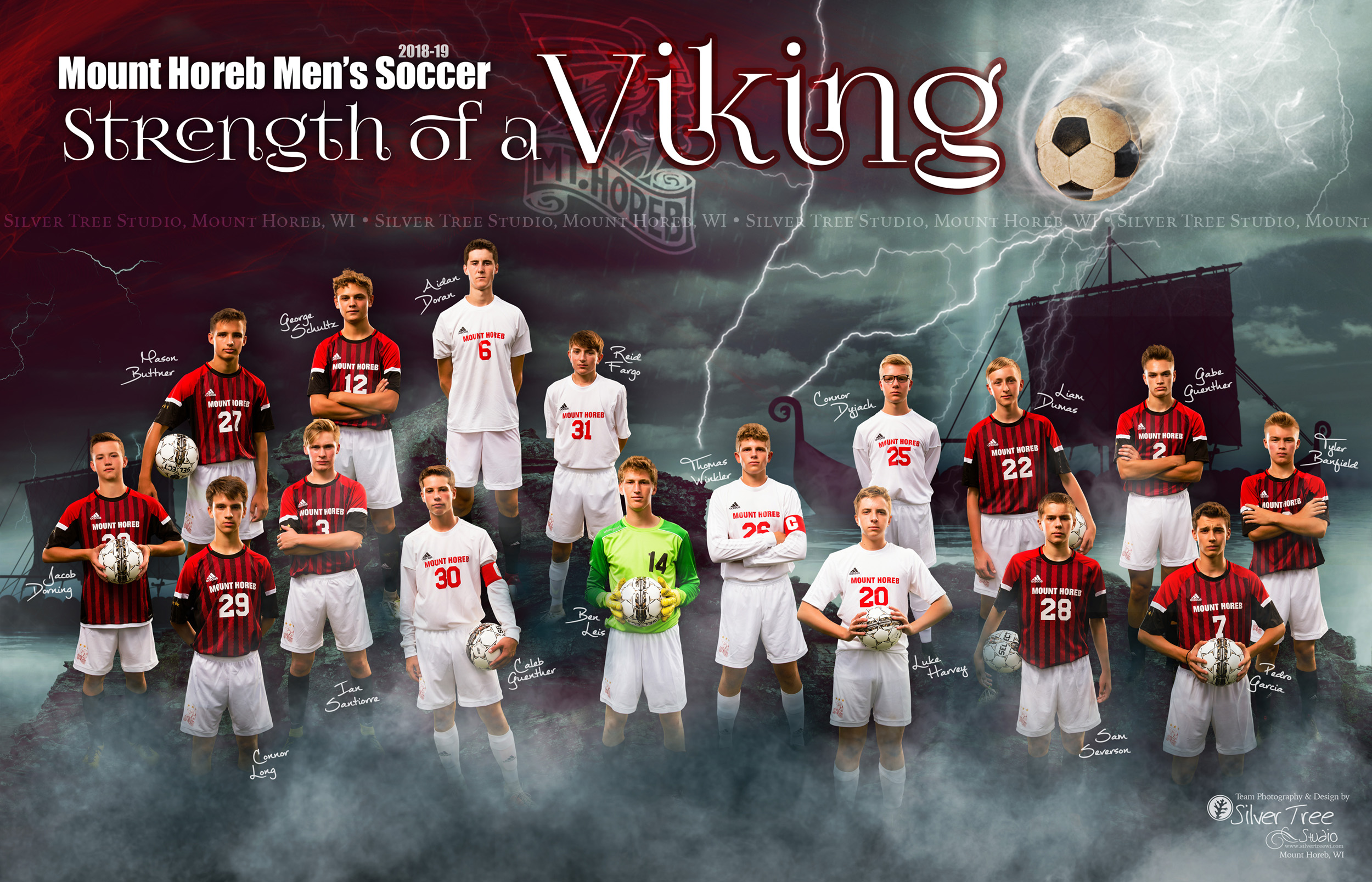 2018-Mt-Horeb-Mens-Soccer-Team-SilverTree.jpg