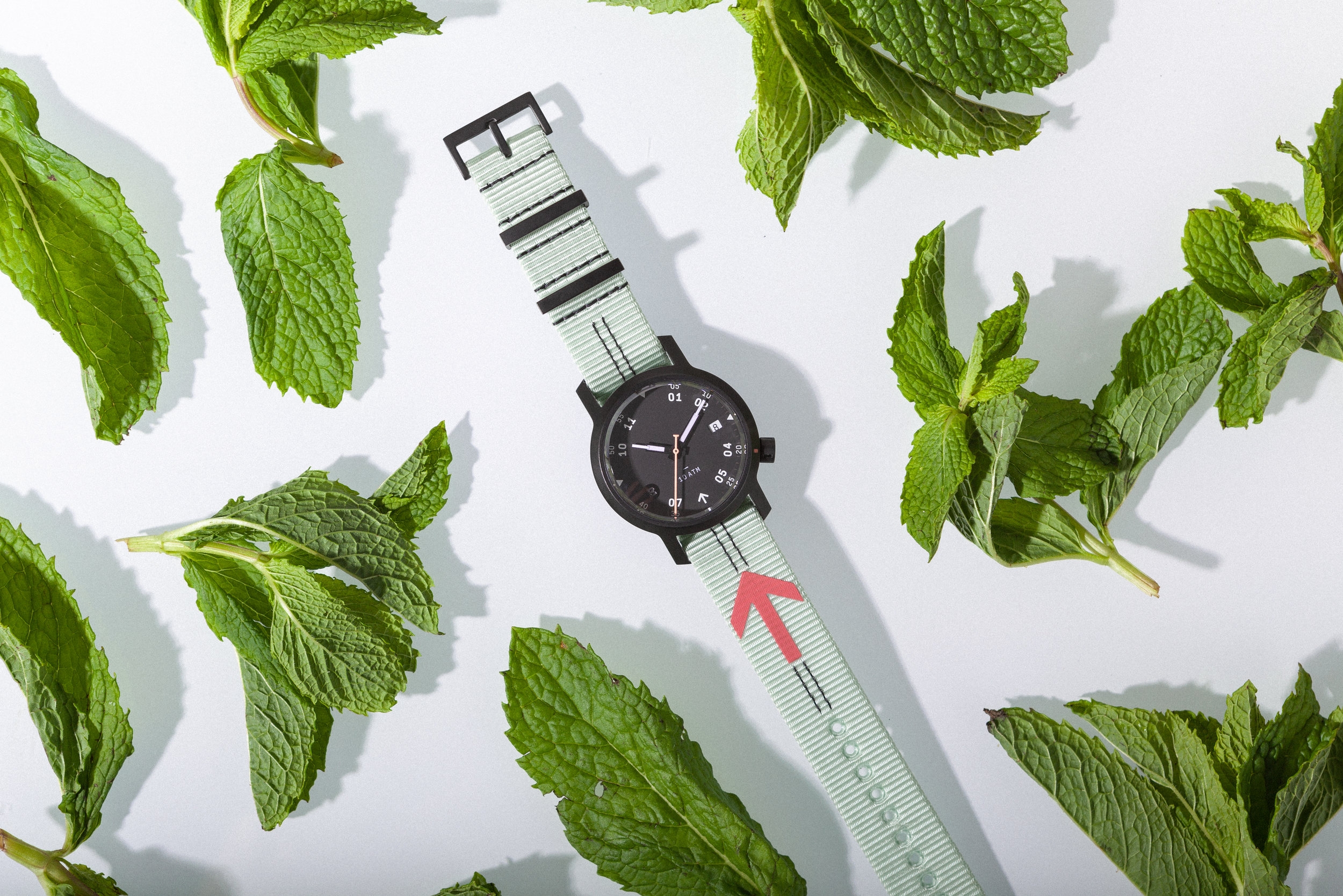 180619_Anza-MintStrap-Wide.jpg